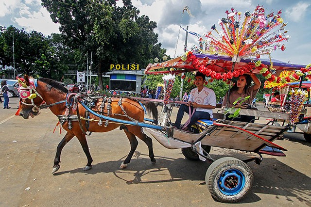 Horse Collapses On West Java Street After Pulling Delman Carriage