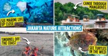 8 Parks, Islands & Nature Attractions In & Around Jakarta To Visit For A Breath Of Fresh Air