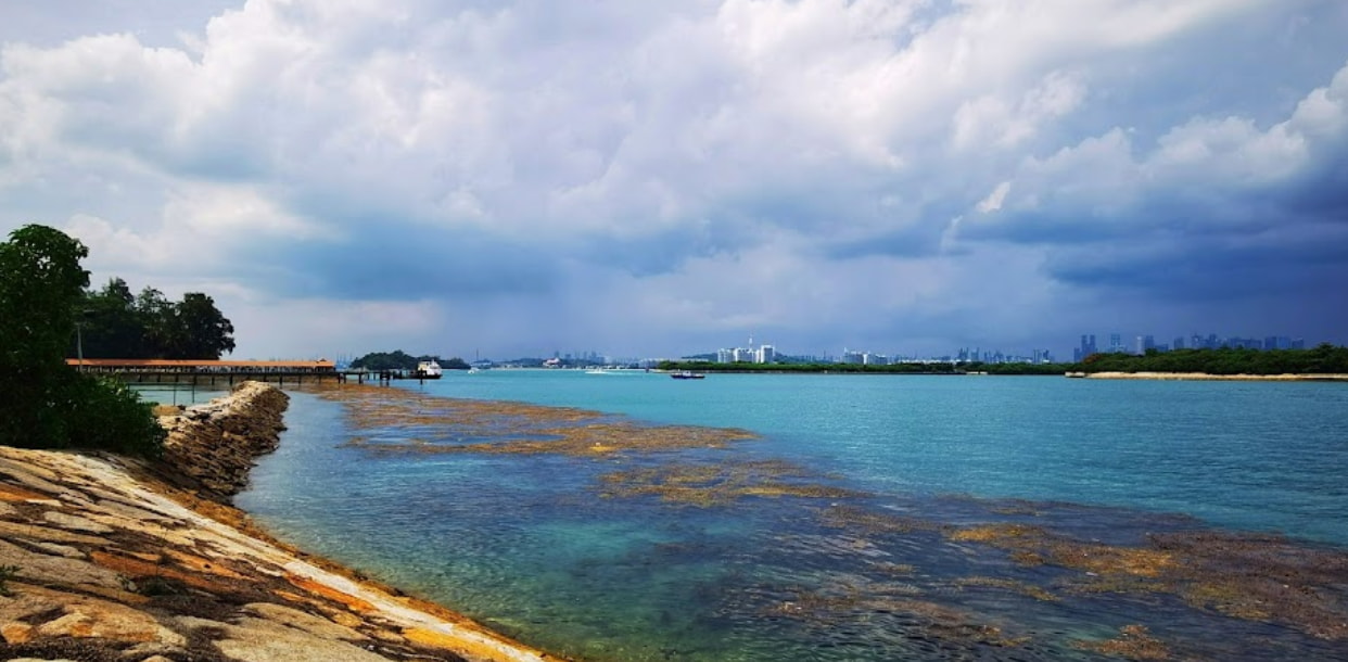 sea at low tide with some corals visible at st john's island singapore