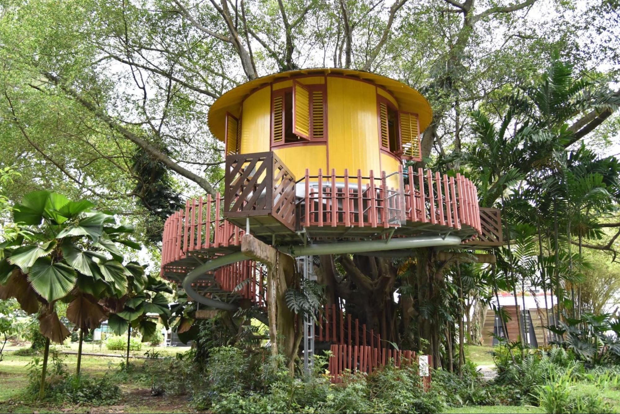 the singapore science centre's ecogarden treehouse outdoors