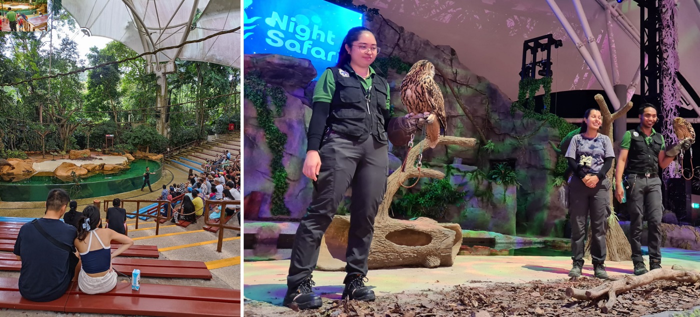 the singapore zoo and the night safari's animal show areas